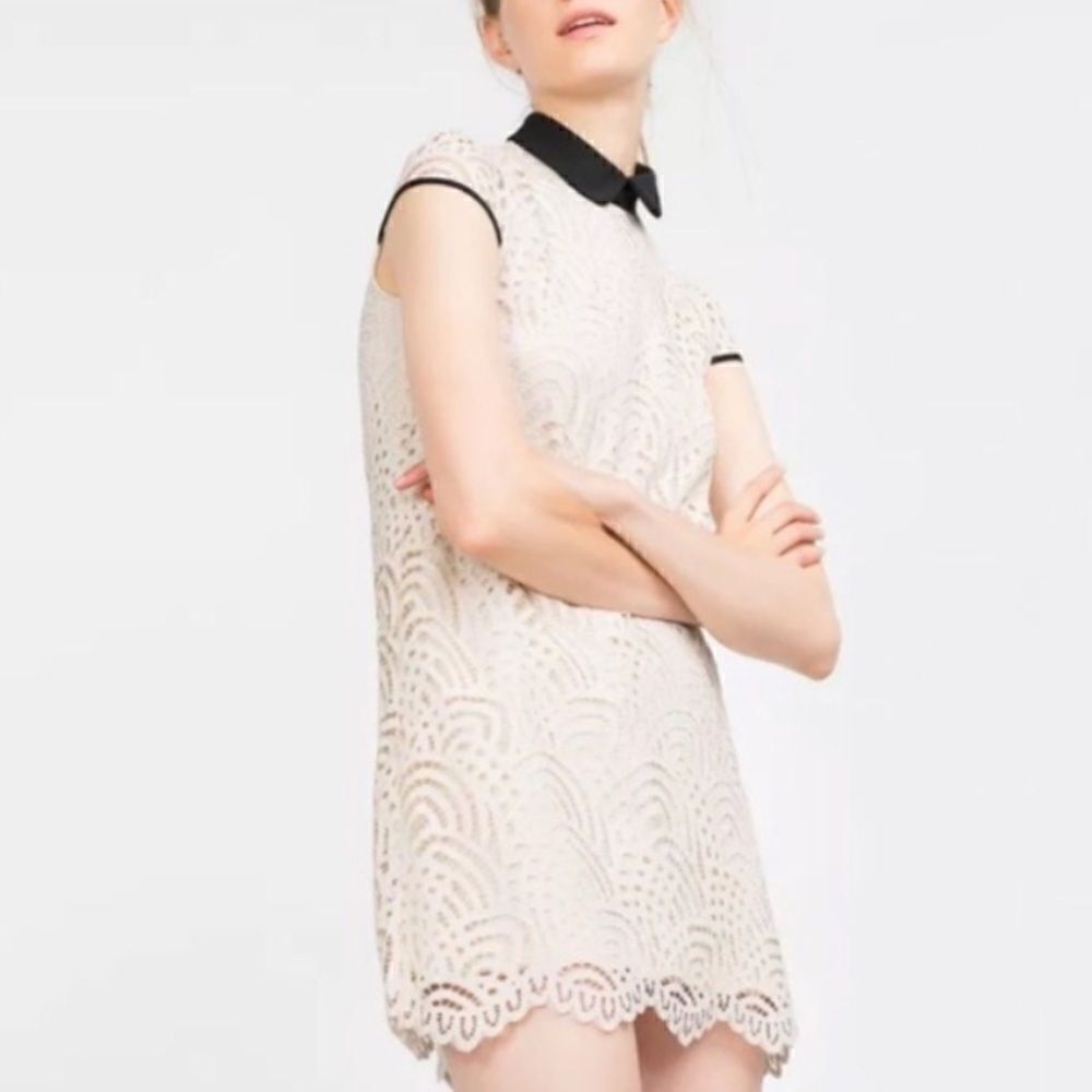 ZARA CREAM LACE WITH BLACK COLAR DRESS